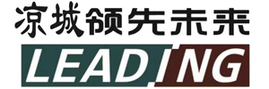 涼城縣領先未來電子商務有限公司